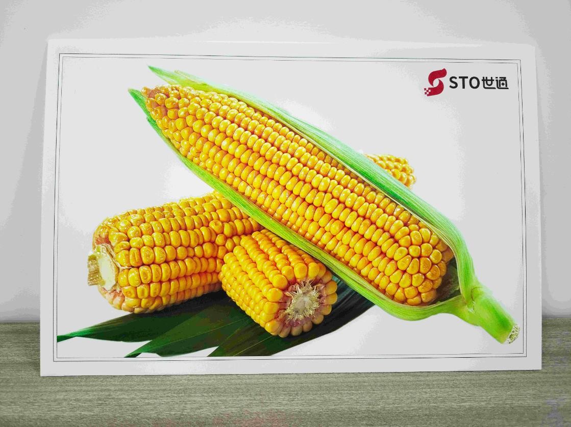 什么是UV打印機？UV打印機可以打印什么？